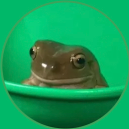 frogiee1.pages.dev logo